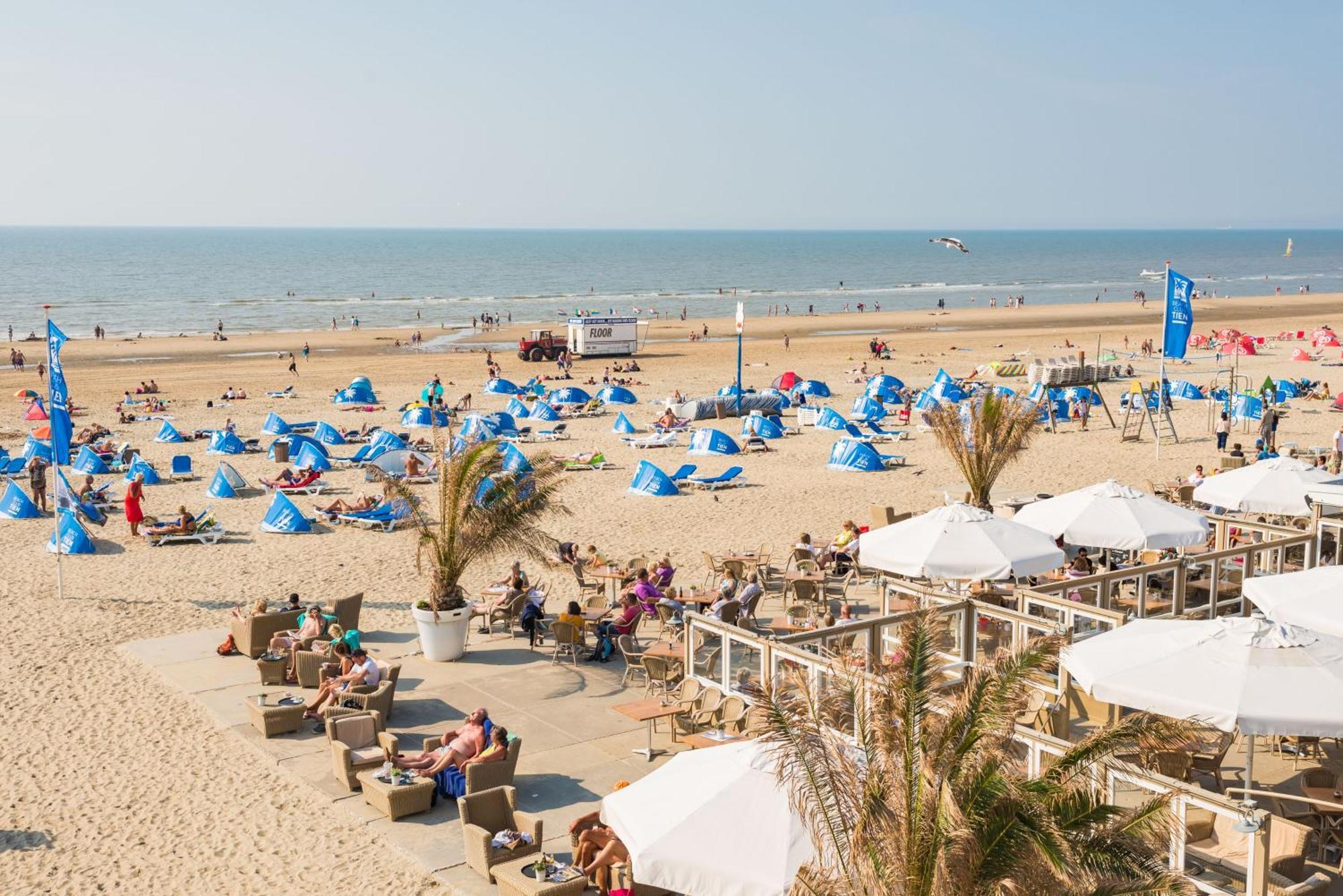Oasis Escape Lejlighed Zandvoort Eksteriør billede
